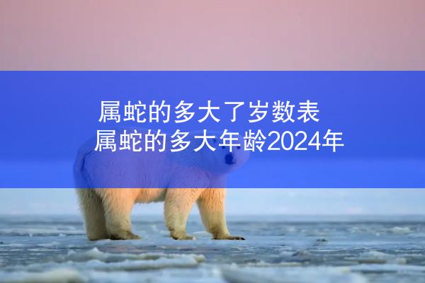 属蛇的多大了岁数表 属蛇的多大年龄2024年