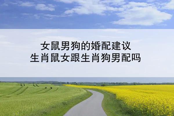 女鼠男狗的婚配建议 生肖鼠女跟生肖狗男配吗