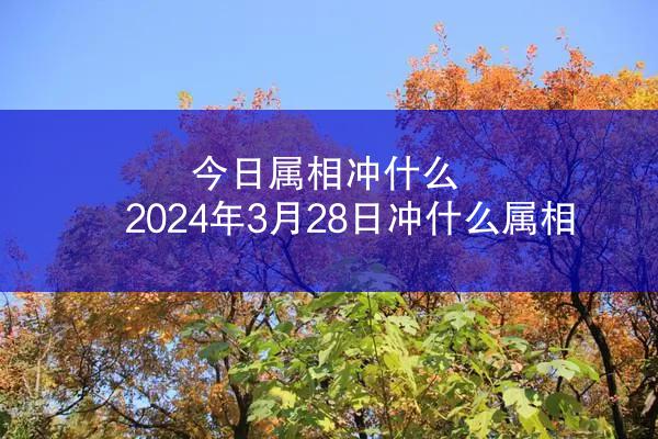 今日属相冲什么 2024年3月28日冲什么属相