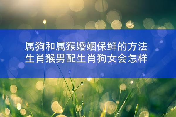 属狗和属猴婚姻保鲜的方法 生肖猴男配生肖狗女会怎样