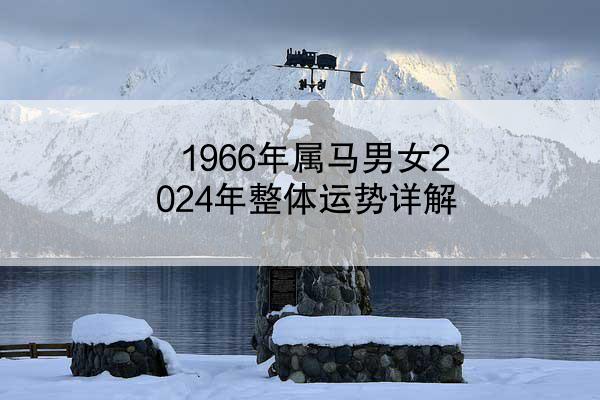 1966年属马男女2024年整体运势详解