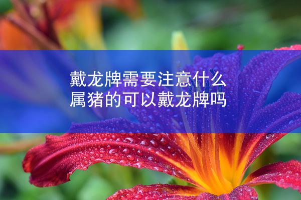 戴龙牌需要注意什么 属猪的可以戴龙牌吗