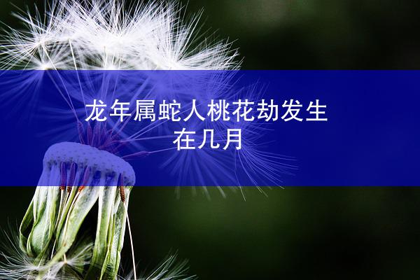 龙年属蛇人桃花劫发生在几月