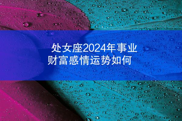 处女座2024年事业财富感情运势如何