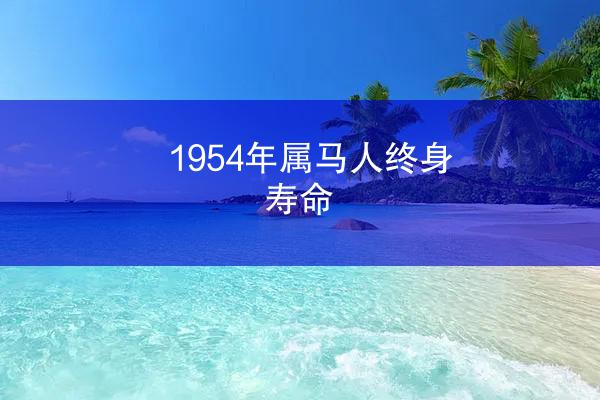 1954年属马人终身寿命