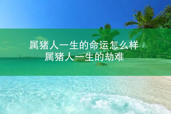 属猪人一生的命运怎么样 属猪人一生的劫难
