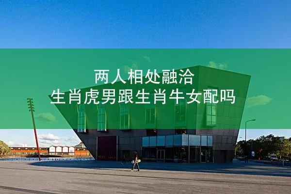两人相处融洽 生肖虎男跟生肖牛女配吗