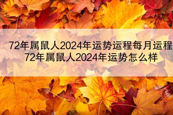 72年属鼠人2024年运势运程每月运程 72年属鼠人2024年运势怎么样
