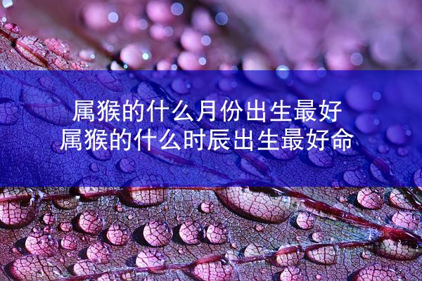 属猴的什么月份出生最好 属猴的什么时辰出生最好命