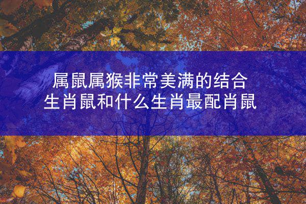 属鼠属猴非常美满的结合 生肖鼠和什么生肖最配肖鼠