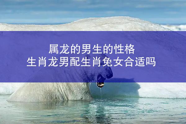 属龙的男生的性格 生肖龙男配生肖兔女合适吗