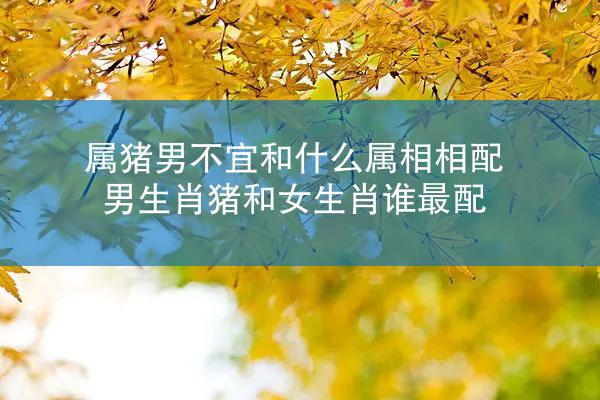 属猪男不宜和什么属相相配 男生肖猪和女生肖谁最配