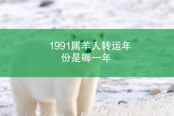 1991属羊人转运年份是哪一年