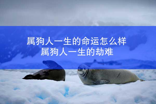 属狗人一生的命运怎么样 属狗人一生的劫难