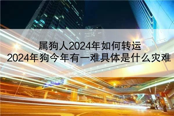 属狗人2024年如何转运 2024年狗今年有一难具体是什么灾难