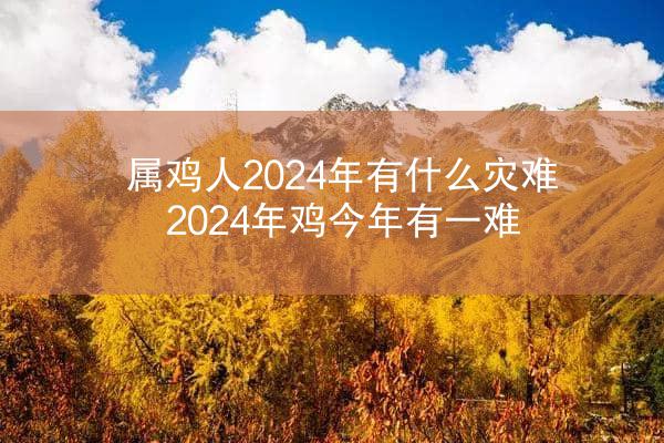属鸡人2024年有什么灾难 2024年鸡今年有一难