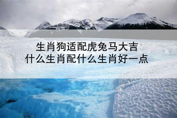 生肖狗适配虎兔马大吉 什么生肖配什么生肖好一点