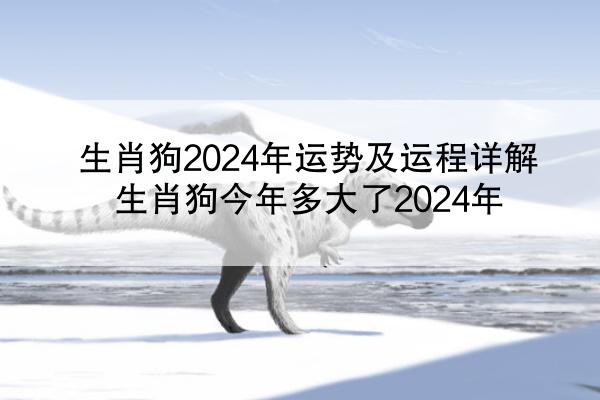 生肖狗2024年运势及运程详解 生肖狗今年多大了2024年