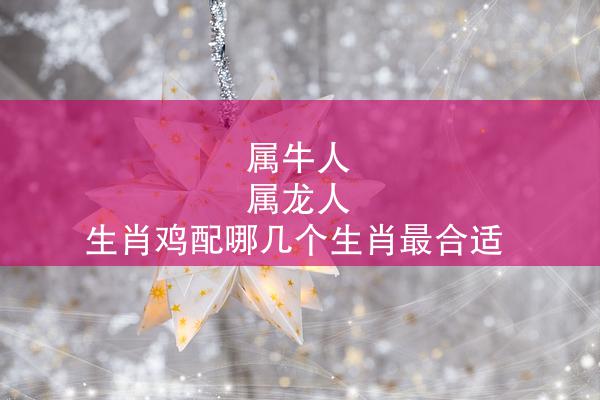 属牛人 属龙人 生肖鸡配哪几个生肖最合适