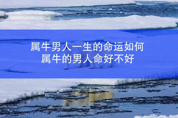 属牛男人一生的命运如何 属牛的男人命好不好
