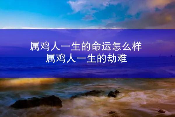 属鸡人一生的命运怎么样 属鸡人一生的劫难