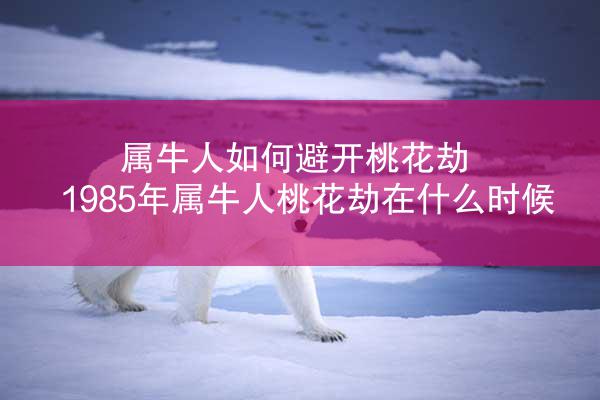 属牛人如何避开桃花劫 1985年属牛人桃花劫在什么时候