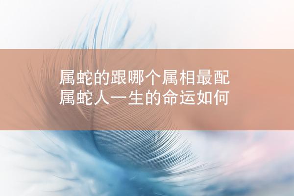 属蛇的跟哪个属相最配 属蛇人一生的命运如何