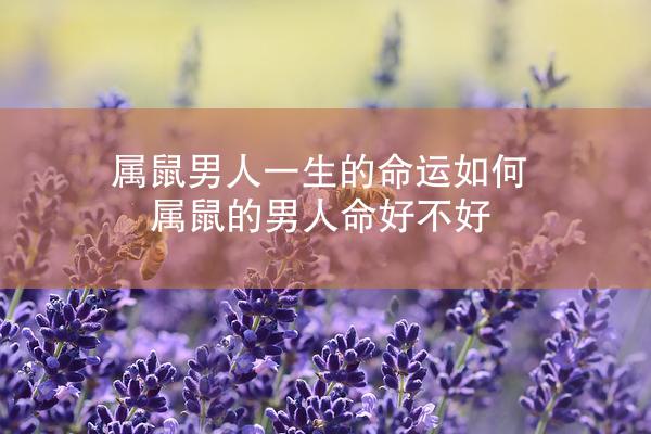 属鼠男人一生的命运如何 属鼠的男人命好不好