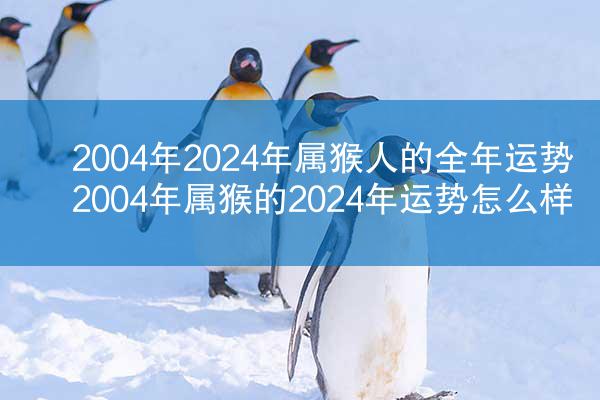 2004年2024年属猴人的全年运势 2004年属猴的2024年运势怎么样