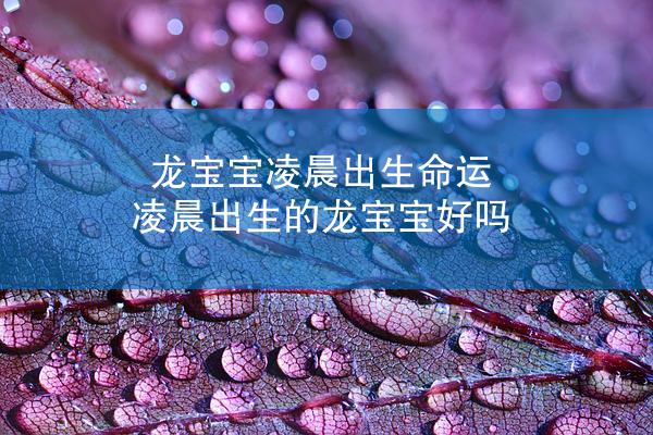 龙宝宝凌晨出生命运 凌晨出生的龙宝宝好吗