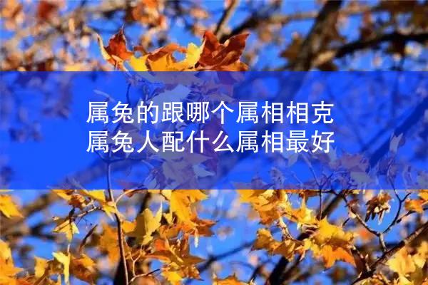 属兔的跟哪个属相相克 属兔人配什么属相最好