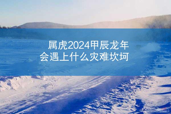 属虎2024甲辰龙年会遇上什么灾难坎坷