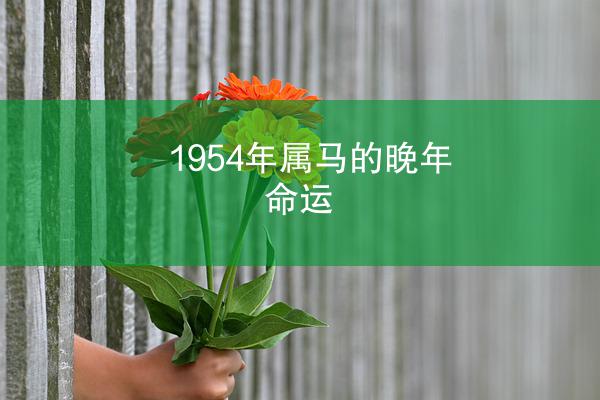1954年属马的晚年命运