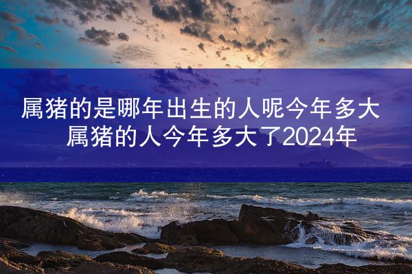 属猪的是哪年出生的人呢今年多大 属猪的人今年多大了2024年