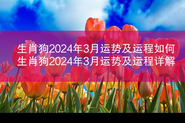 生肖狗2024年3月运势及运程如何 生肖狗2024年3月运势及运程详解
