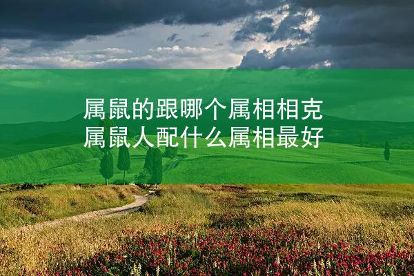 属鼠的跟哪个属相相克 属鼠人配什么属相最好