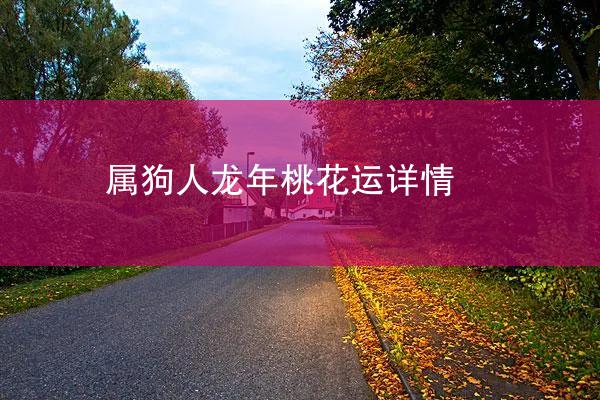 属狗人龙年桃花运详情