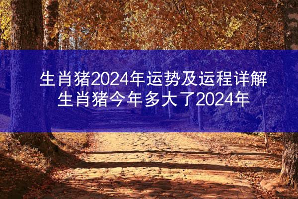 生肖猪2024年运势及运程详解 生肖猪今年多大了2024年