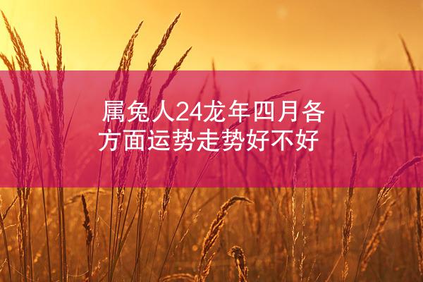 属兔人24龙年四月各方面运势走势好不好