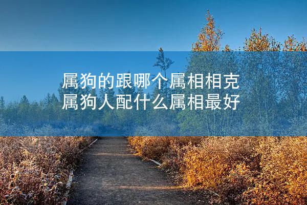 属狗的跟哪个属相相克 属狗人配什么属相最好