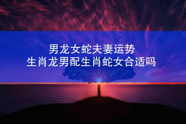 男龙女蛇夫妻运势 生肖龙男配生肖蛇女合适吗