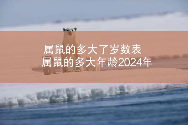 属鼠的多大了岁数表 属鼠的多大年龄2024年