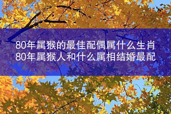 80年属猴的最佳配偶属什么生肖 80年属猴人和什么属相结婚最配
