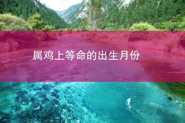 属鸡上等命的出生月份