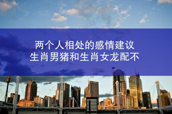 两个人相处的感情建议 生肖男猪和生肖女龙配不