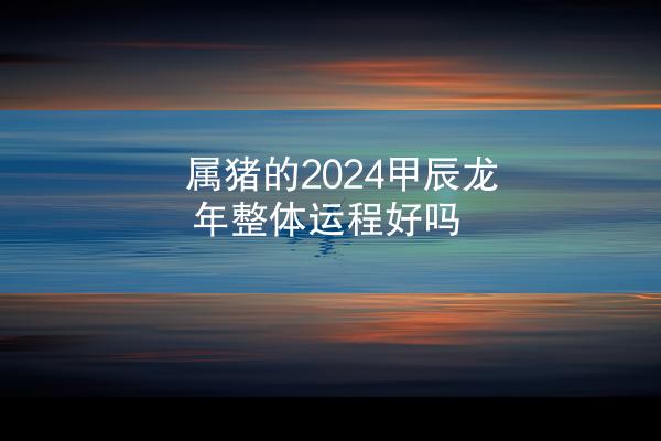 属猪的2024甲辰龙年整体运程好吗