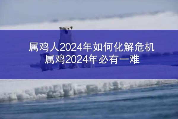 属鸡人2024年如何化解危机 属鸡2024年必有一难