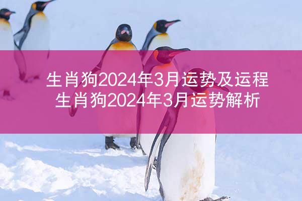 生肖狗2024年3月运势及运程 生肖狗2024年3月运势解析