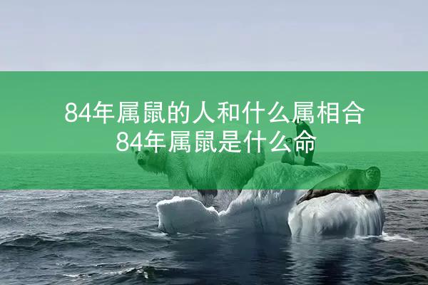 84年属鼠的人和什么属相合 84年属鼠是什么命