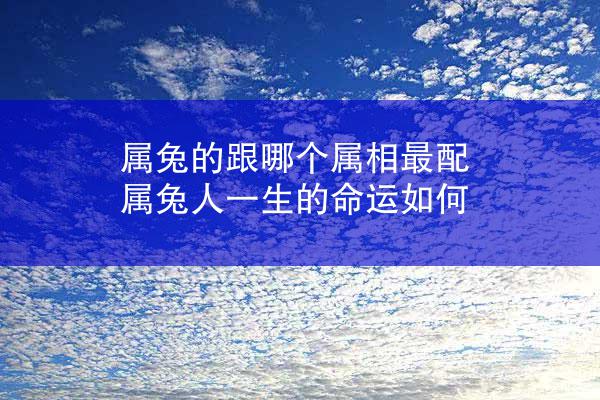 属兔的跟哪个属相最配 属兔人一生的命运如何